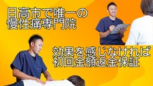 六葉