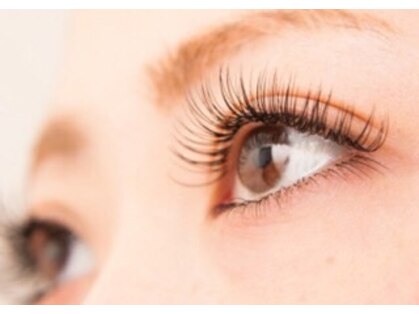 アイラッシュ フリーティエ(eyelash freetie)の写真