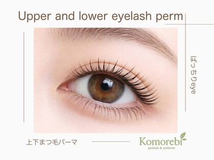 コモレビ(Komorebi)の写真