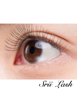 シリーラッシュ 武蔵小杉/ 正面　60本(両目120本)