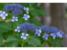 リモデ(Re MODE)/梅雨は痰湿に気を付けましょう！