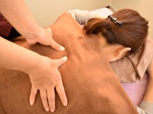 台湾式リラクゼーション養生館 健/じっくりほぐしていきます！