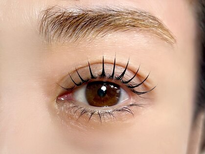 リココ(re.coco)の写真