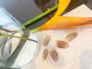 ベルトリージェイ(BellTree,J)/色々選べる欲張りアートコース☆