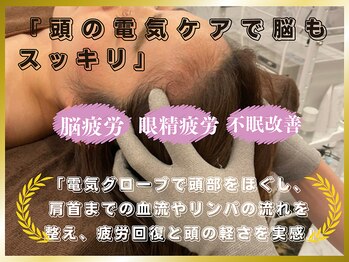 フラーダヴィータ(hlaada.vita)/頭の電気ケア