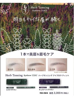 アドア(ADORE)/眉毛ティント