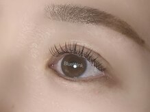 ブルーウィンク(Blue Wink.)/フラットラッシュ100本☆