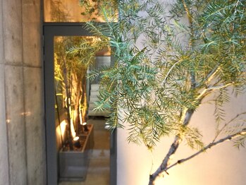 ヒミツ 銀座本店(HIMITSU)/看板のない隠れ家サロン