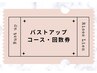 《バストアップ全身・上半身》回数券・コースの方専用