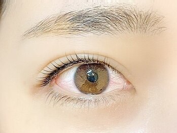 アンドティグルアイ 光の森(&.Tigre eye)/メーテルラッシュリフト＊