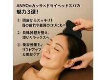 アニョ(ANYO)の雰囲気（他ではないカッサを用いたドライヘッドスパ！）