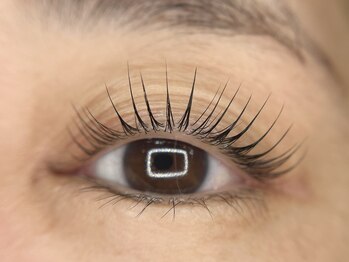 リノ(Lino)/パリジェンヌラッシュリフト