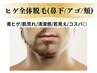 【ヒゲ全体脱毛体験】鼻下/アゴ/頬/カウンセリング込み/60分