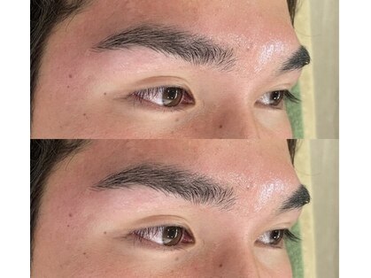 シノビ(Shinobi)の写真