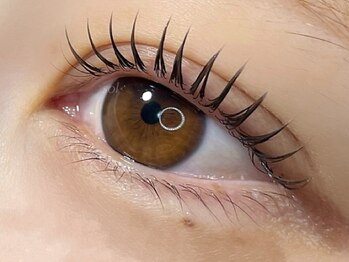 ソル ラッシュアンドブロウ(SOL lash&blow)の写真/パーマとエクのいいとこどり★&healthy(まつ毛エクステとパーマを一緒に行う最先端技術)でぱっちり目元に♪
