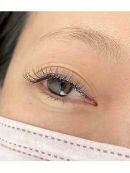 リチェルカ(ricerca)/超軽量フラットラッシュ 120本