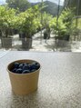 サロン ド ボー(Salon de Beau)&nbsp;子どもとおでかけ大好きです！おすすめスポット教えてください