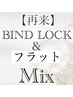 【人気NO.2】合計140本【バインド60本＆フラット80本】５W以内￥10750