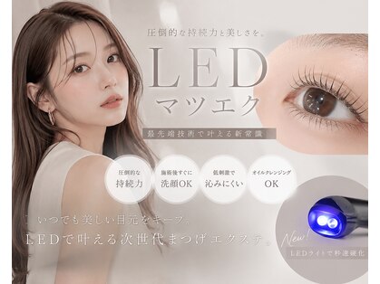 シルフ TOKYO銀座(Sylph)の写真