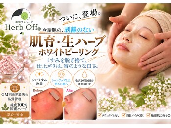 ジ エステティック イーズ ららぽーと福岡店の写真/【肌育×透明感UP◎ホワイト生ハーブピーリング¥8800】シミケア&ツヤ肌へ◎はがすのではなく肌を育てる♪