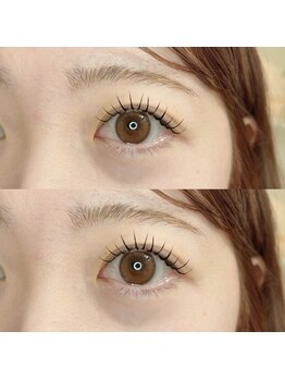 シー センター北(sii)/フラットラッシュ　120本