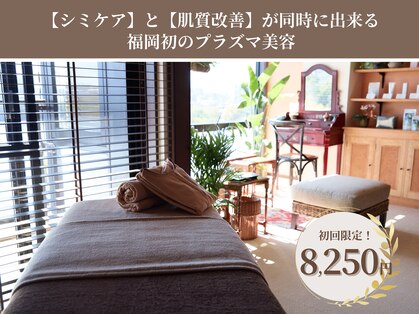 キレイ(KIREI)の写真