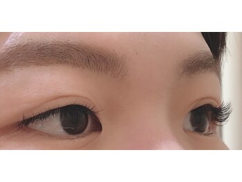 エーネイル エーラッシュ(A-NAIL A-LASH)/Cカール120本♪【倉敷】