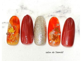 サロン ド サミエル 登戸(salon de Samiel)/デザイン定額A【登戸ネイル】