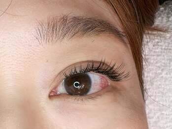 シャノワール(Chat Noir)/130本フラットラッシュ