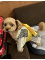 ヨサパーク エメ(YOSA PARK Aimer) 愛犬マロン♂我が家のビジュ担！