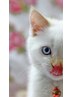 うる艶まつ毛パーマ(ラッシュリフト) ◎トリートメント・アイシャンプー込み