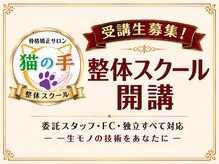 猫の手