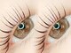 フィールラッシュ バイ グリーン(FEELLASH by green)の写真