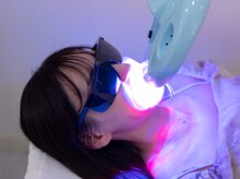 オードリー(Audrey)