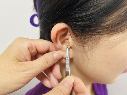 ふーみんの写真