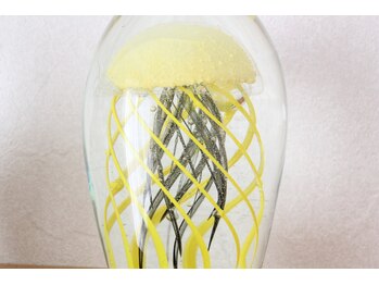 ソラリ(solari)/私たちを作っているもの