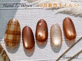 (3558)秋色☆彡マグネットネイル