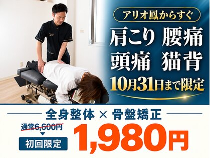 トロイカ整体院 鳳店の写真