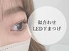 ★他コース併用限定★【LEDエクステ(下)】 似合わせ下まつげ♪ (再)¥3850⇒