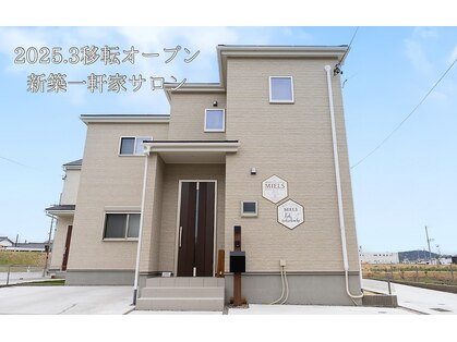 ミエルズ(MIELS)の写真