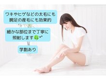 ヨサパーク ミユウ(YOSA PARK you)