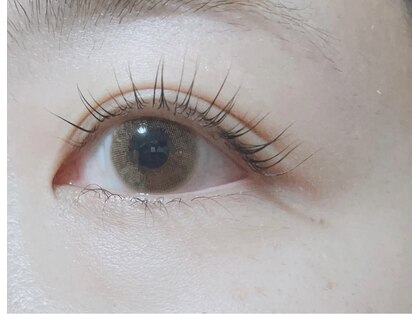 Setsuko life×beauty まつ毛パーマ/マツエク/眉毛の写真