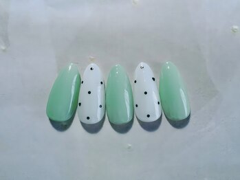 定額/シンプルコース