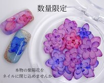 ネイルハウス(Nail house)