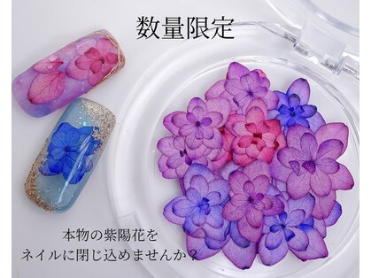 ネイルハウス(Nail house)の写真