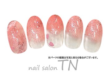 ティーエヌ イオン新潟青山店/4月季節の定額4900円コ―ス