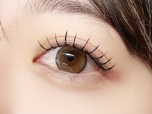 インザピンクリリー(in the pink LILY)/バインドロック80束