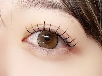 インザピンクリリー(in the pink LILY)/バインドロック80束