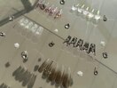スカルプトレンド定額