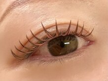 リブレ(Libre)/ダブルフラット160束(320本)